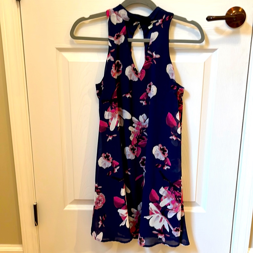 Francesca Brand Blue Floral XS Dress